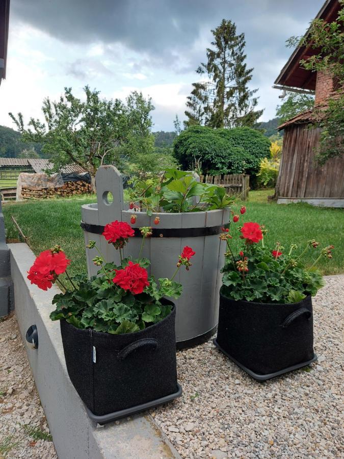 Pr' Sovarjo Zgornje Gorje Buitenkant foto